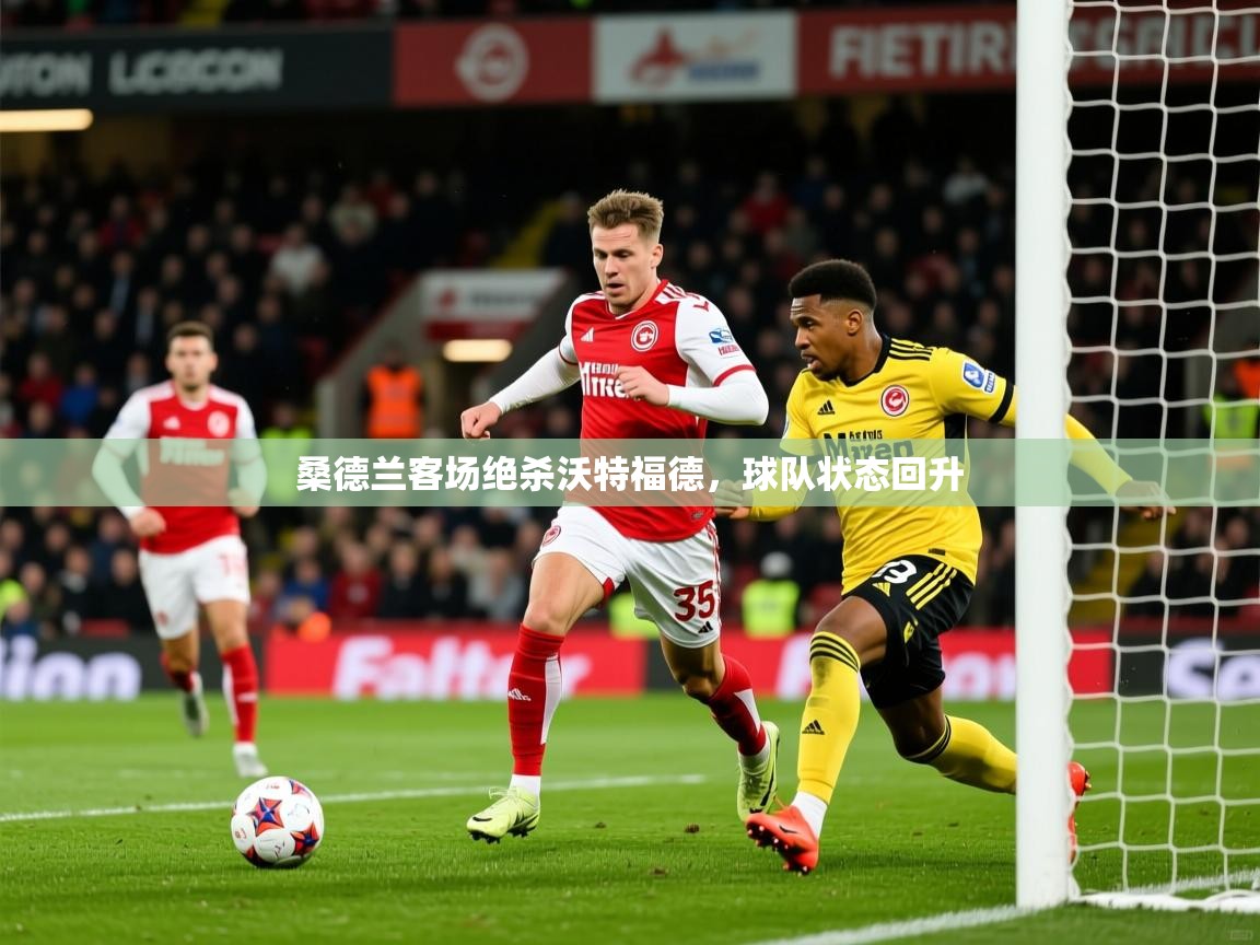 2026开云体育app网页版入口桑德兰客场绝杀沃特福德，球队状态回升